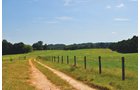 Property photo 7 - 1,575+/- Acres Offered in 23 Tracts